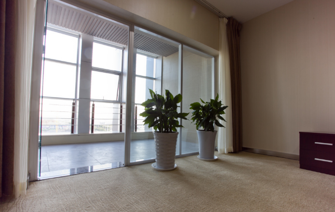 上海辦公室裝修設(shè)計(jì)陽臺(tái)綠植選擇指南