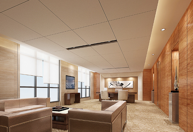 上海辦公室裝修設(shè)計(jì)：平安樹挑選全攻略，打造綠色辦公新體驗(yàn)！