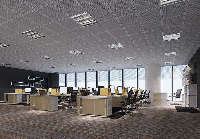 上海辦公室裝修設計：銅錢草，如何巧妙融入空間美學？