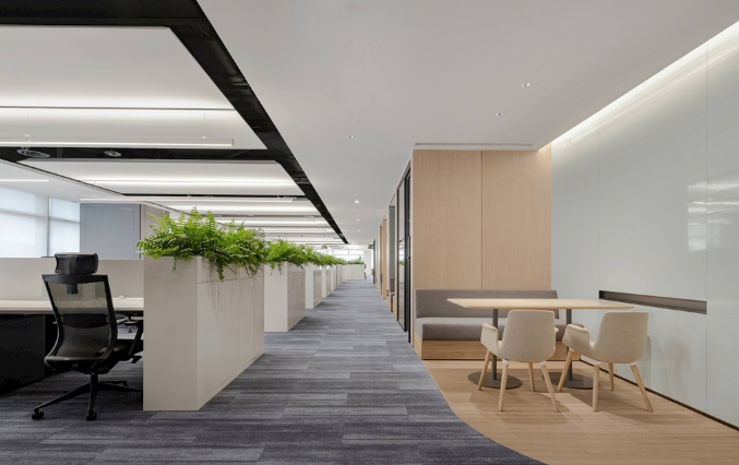 辦公室裝修設(shè)計壁紙紋理大比拼，這樣選讓你的空間瞬間升級！